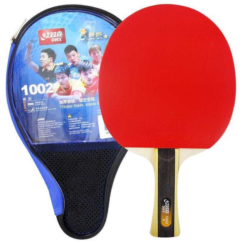 DHS 1 Star T1002 Beginners Table Tennis Bat + Case - Table Tennis Hub